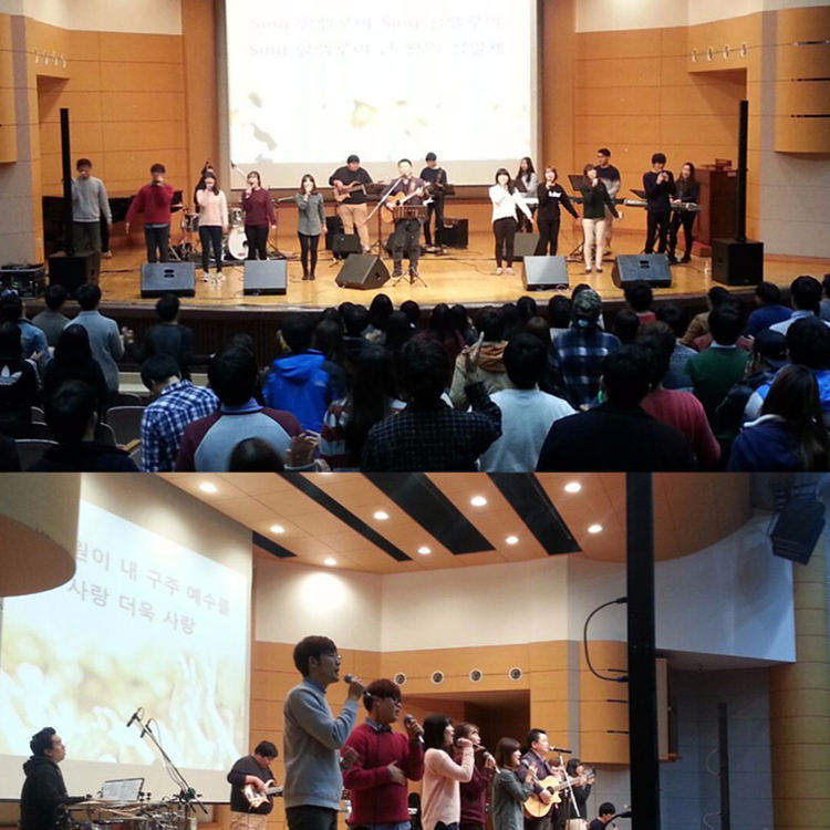 loa cột 8 và siêu trầm 15 in